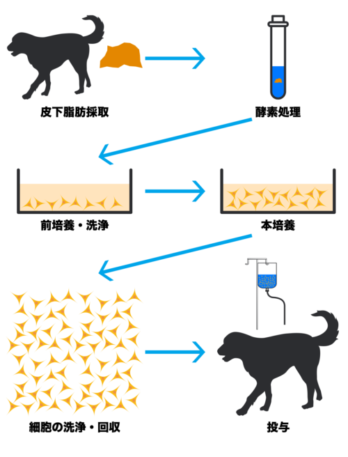 stem_cells002_2